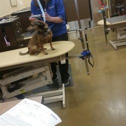 PetSmart Lafayette, LA 3 months ago Be among the first 25 applicants See who PetSmart has hired for this role. . Petsmart lafayette la